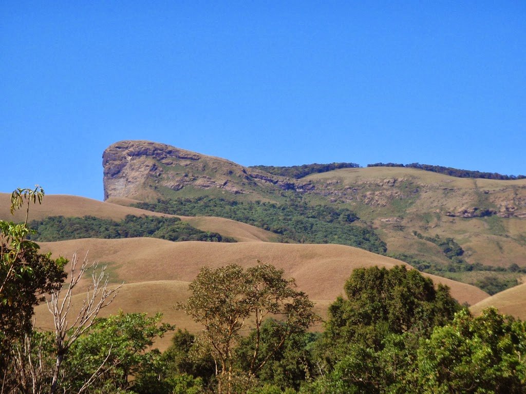 My Odyssey with Nature-1 (Trek to Kudremukh)
