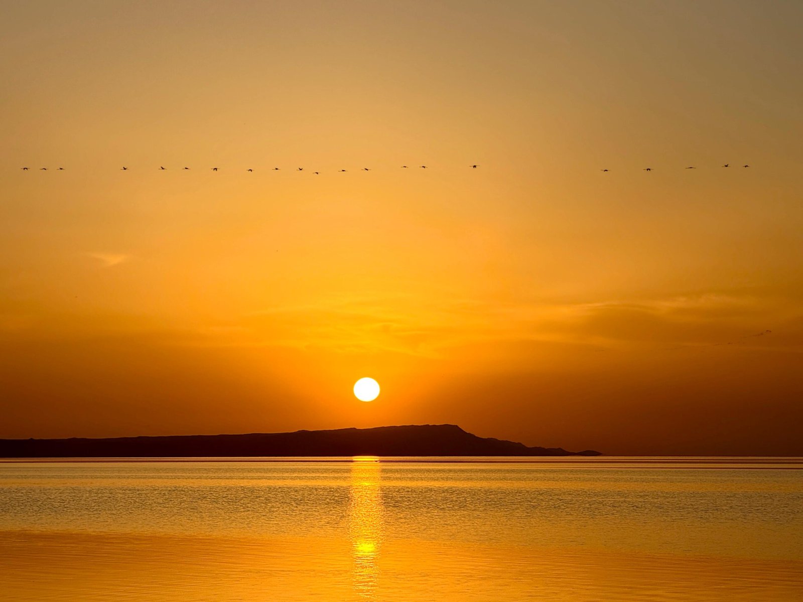 DNF to Desert: My 100km Battle at White Sand Ultra (2026)